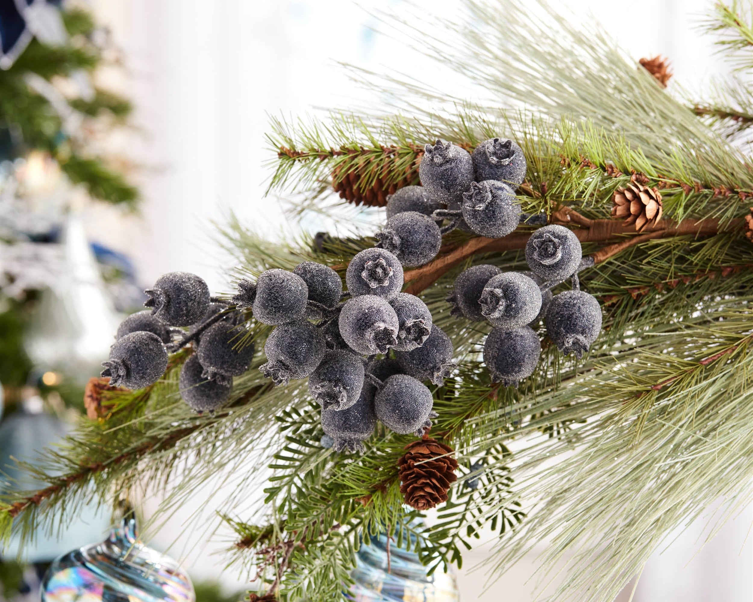 Seasonal Story | Holiday 2025