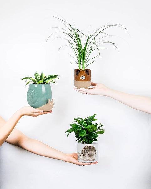 Small Dog on Legs Planter - 3.5" H - Signastyle Boutique