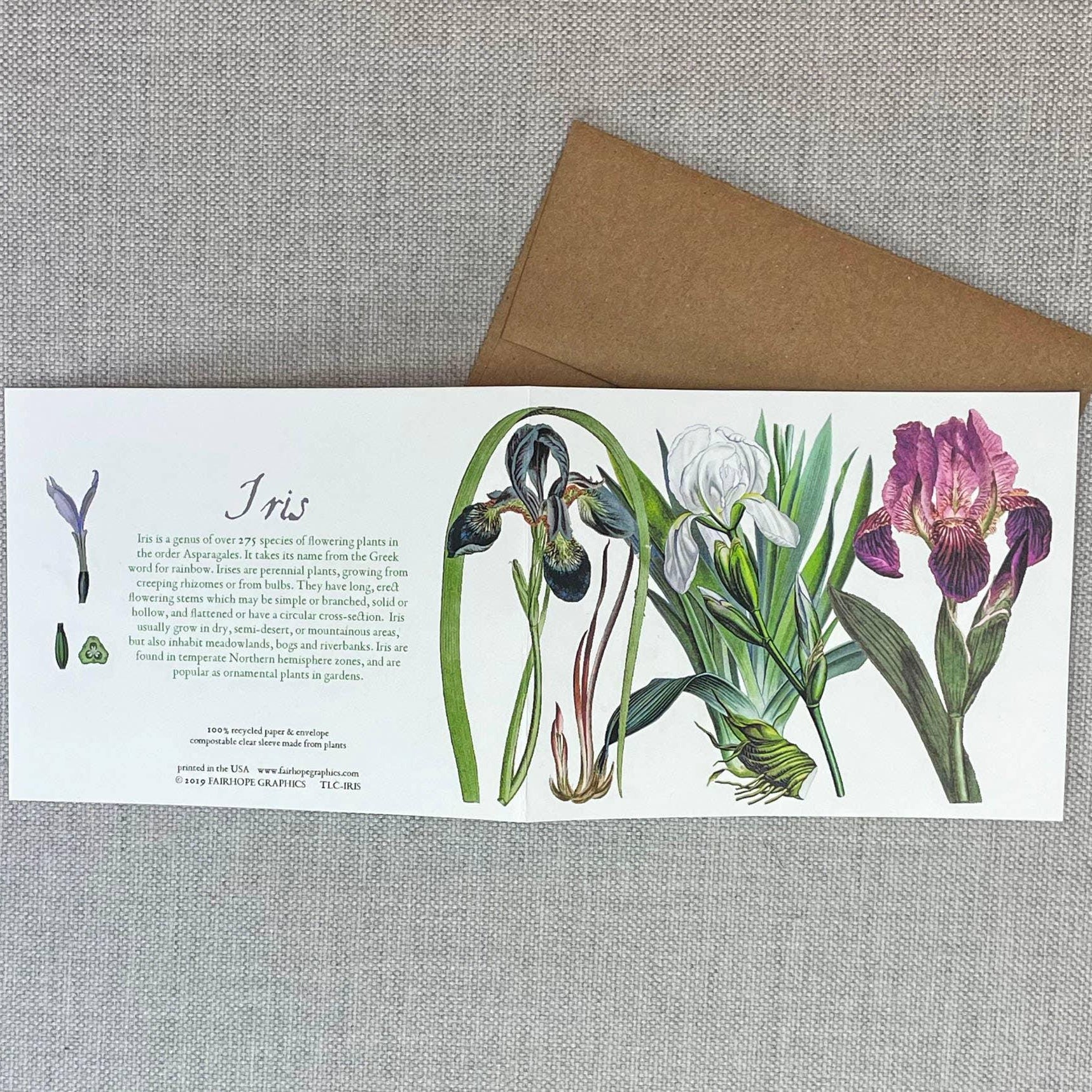 Iris Card - Signastyle Boutique
