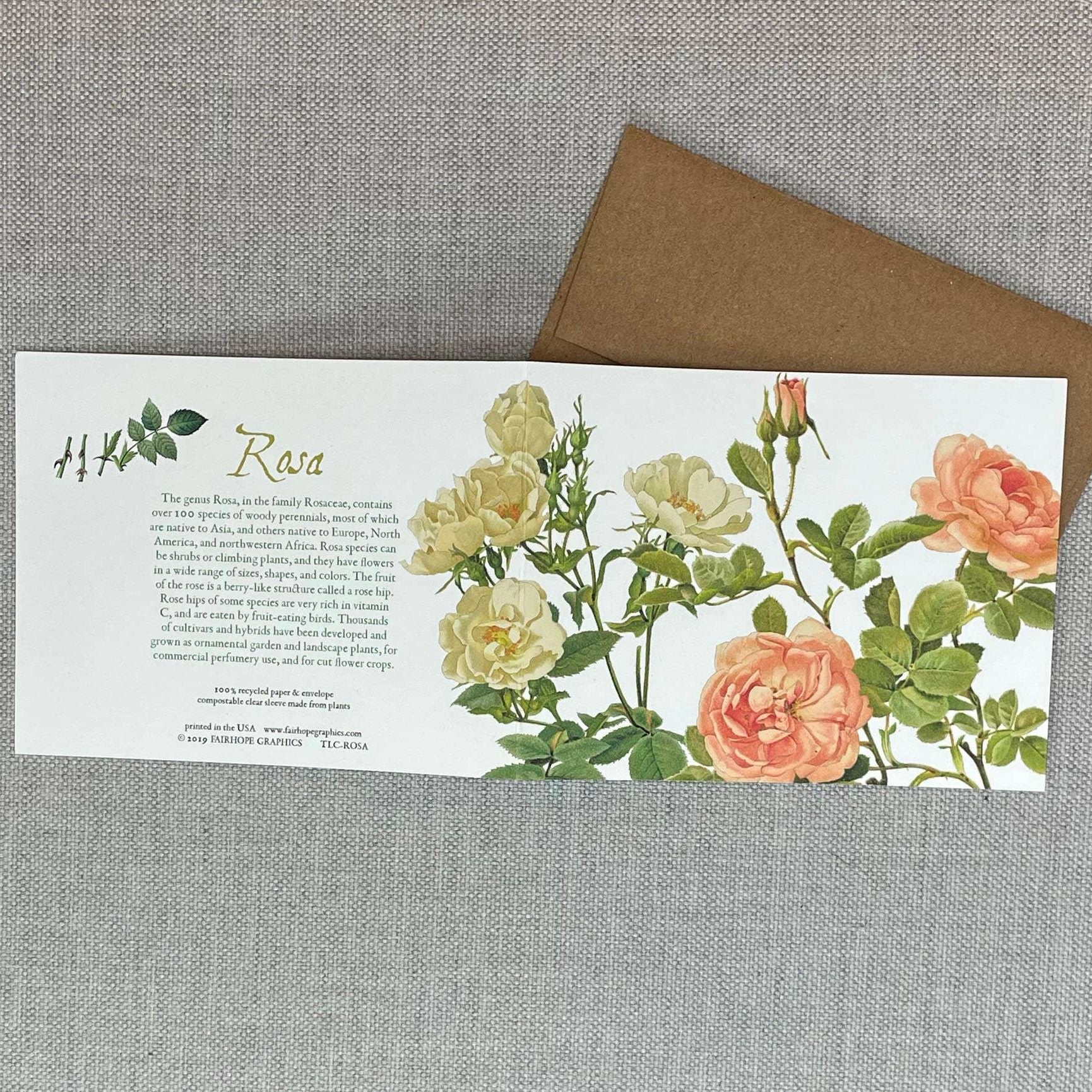 Rosa Card - Signastyle Boutique