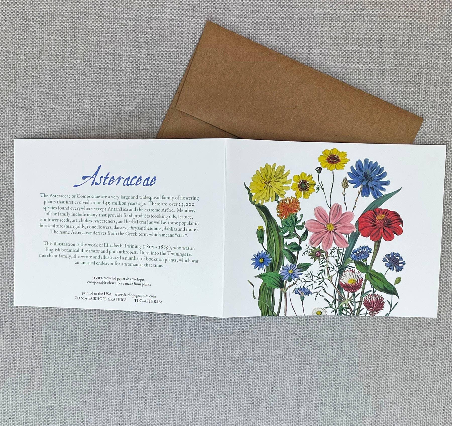 Asters Card - Signastyle Boutique