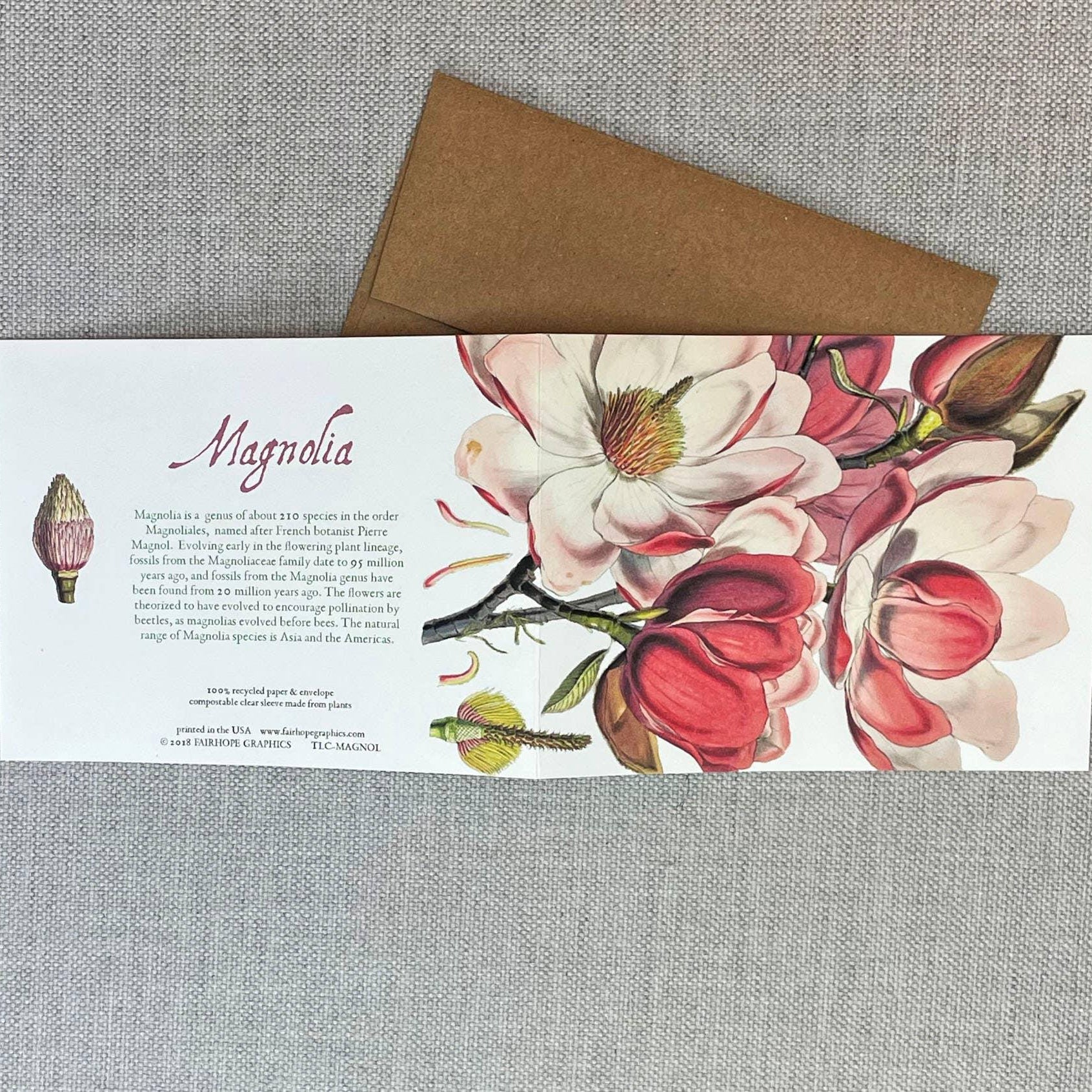 Magnolia Card - Signastyle Boutique