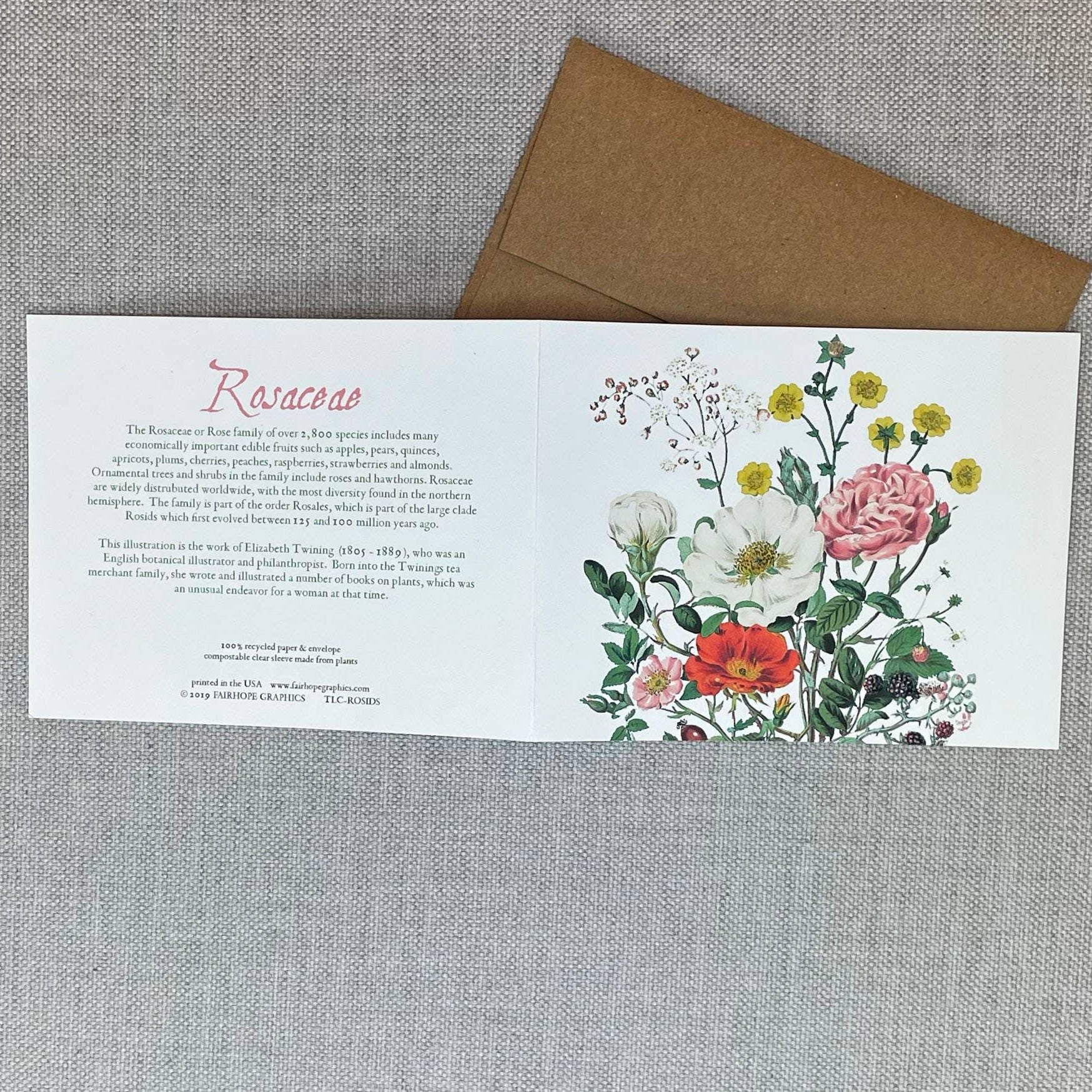 Roses Card - Signastyle Boutique