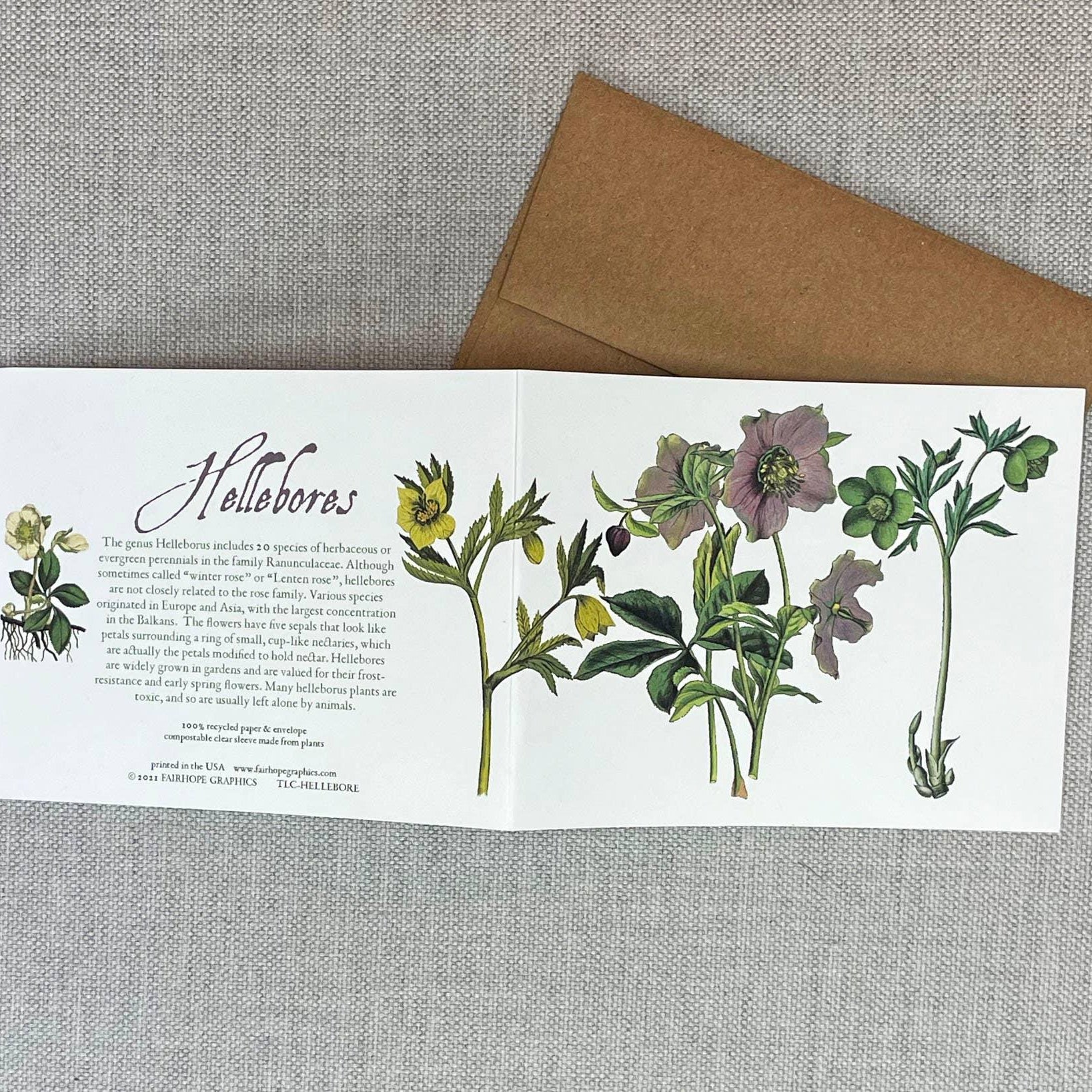 Hellebores Card - Signastyle Boutique