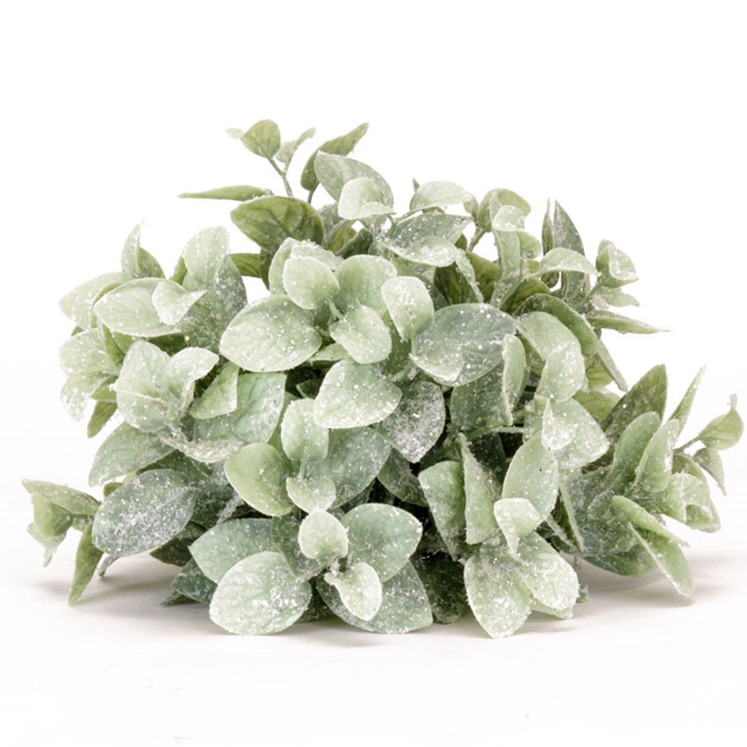 6" Eucalyptus Half Orb - Signastyle Boutique