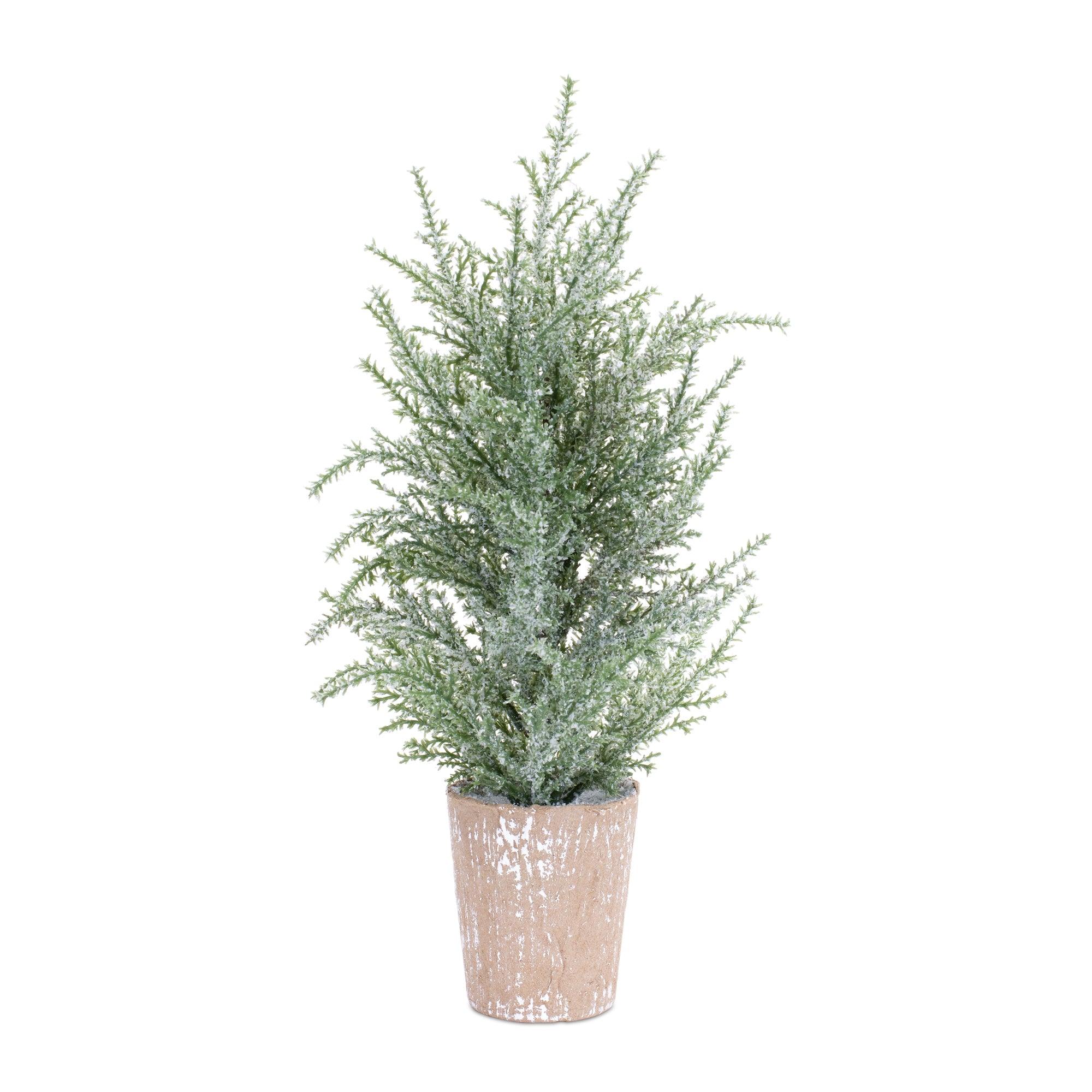 Potted Frosted Icy Pine - Signastyle Boutique