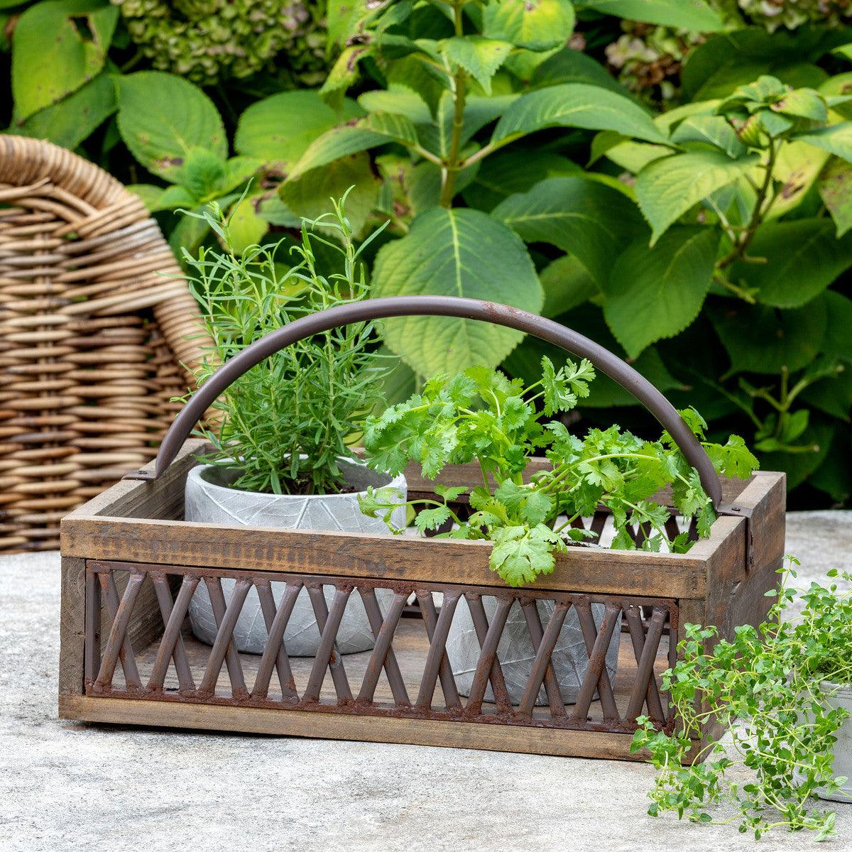 Iron Lattice Garden Trug - Signastyle Boutique