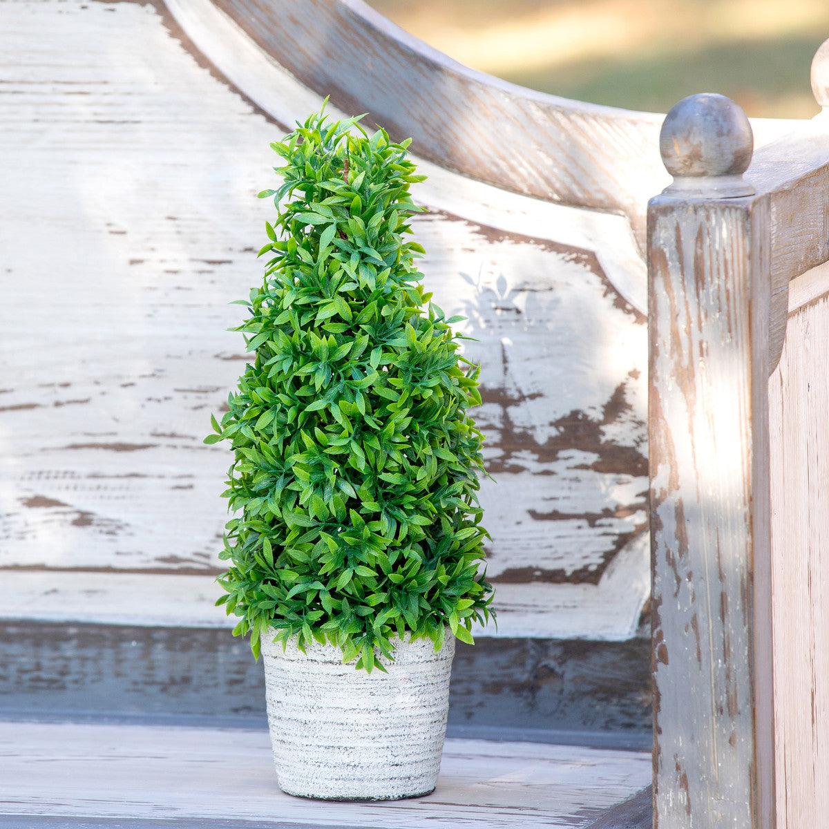 Mountain Savory Cone Topiary, Medium - Signastyle Boutique