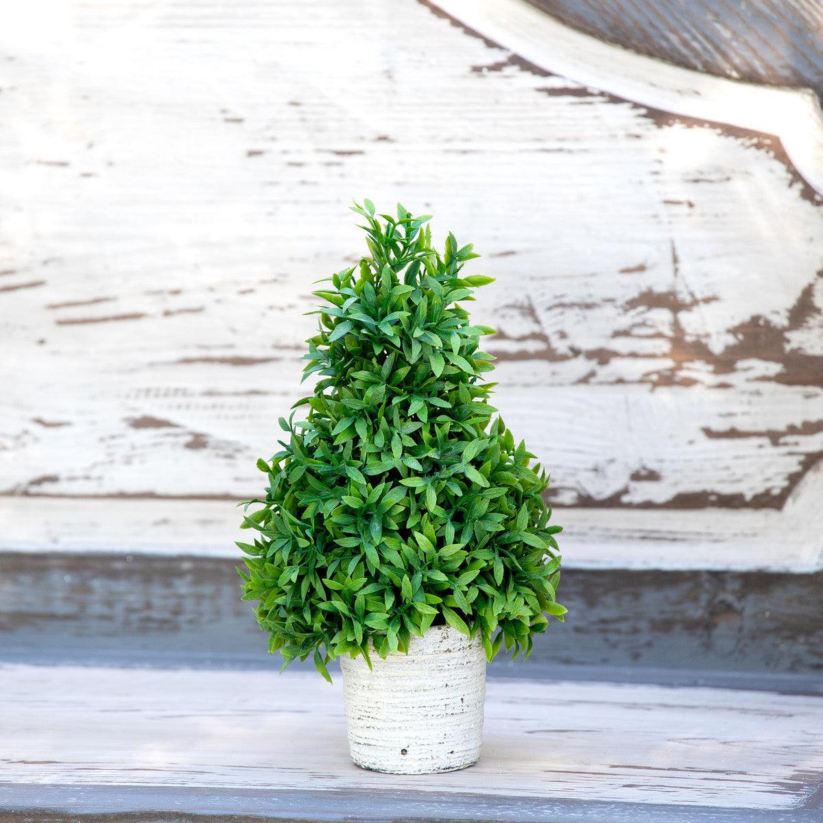 Mountain Savory Cone Topiary, Small - Signastyle Boutique