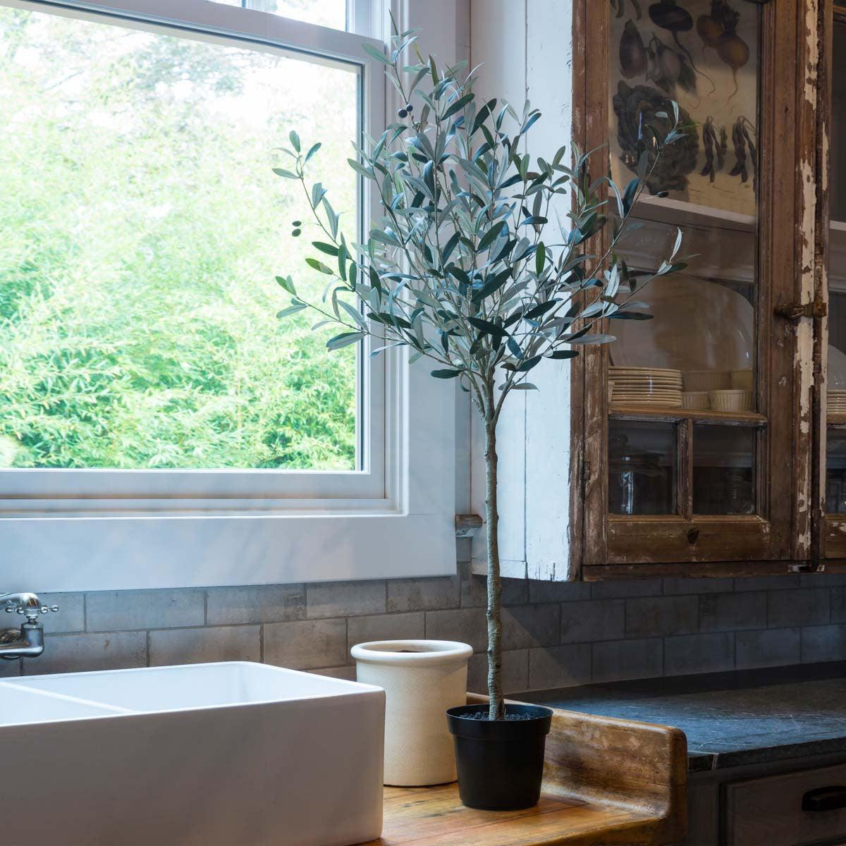 Potted Olive Topiary - Signastyle Boutique