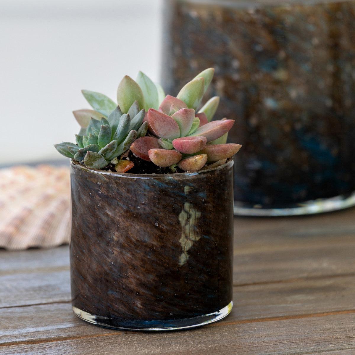 Serena Glass Cylinder, Small - Signastyle Boutique