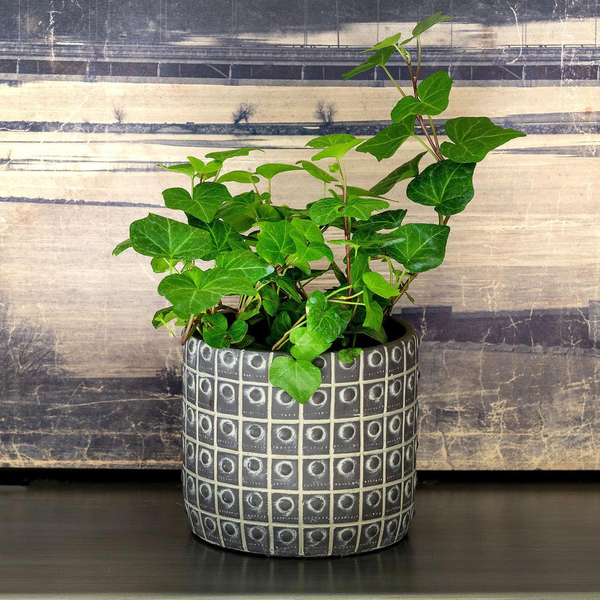 Rivet Pattern Pot, Medium - Signastyle Boutique