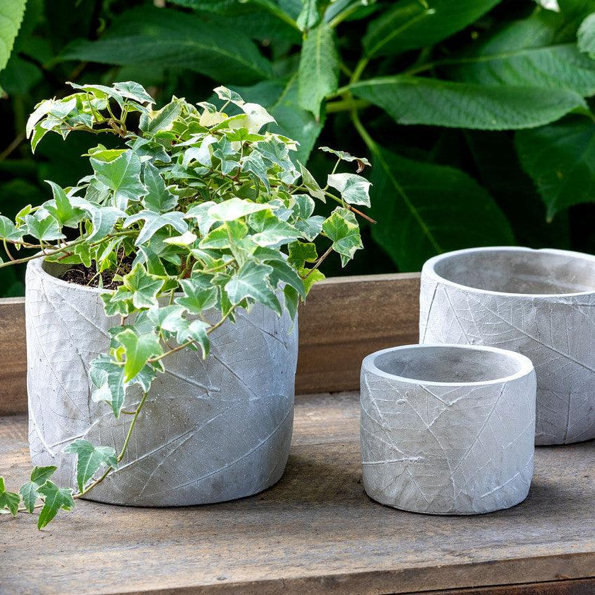 Leaf Embossed Cement Pot, Large - Signastyle Boutique