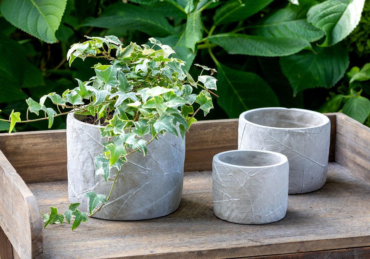 Leaf Embossed Cement Pot, Large - Signastyle Boutique