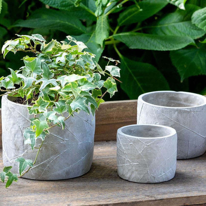Leaf Embossed Cement Pot, Medium - Signastyle Boutique