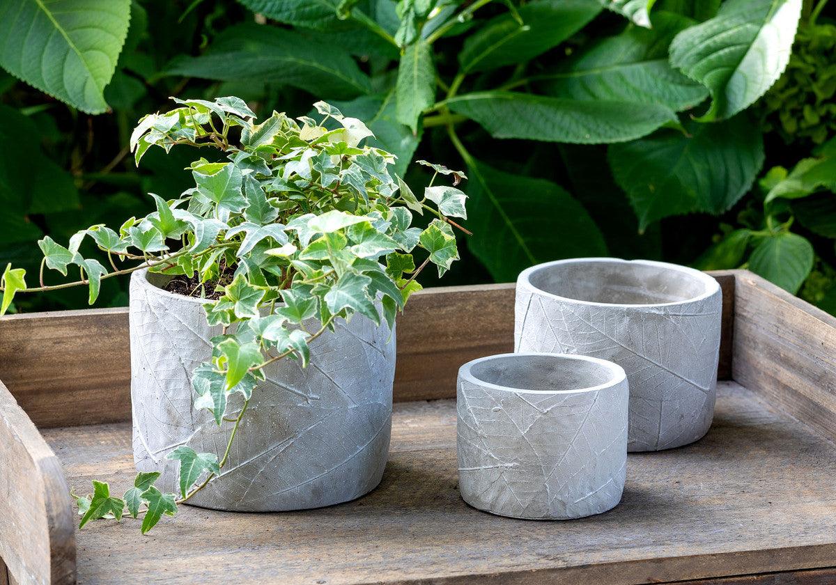 Leaf Embossed Cement Pot, Medium - Signastyle Boutique