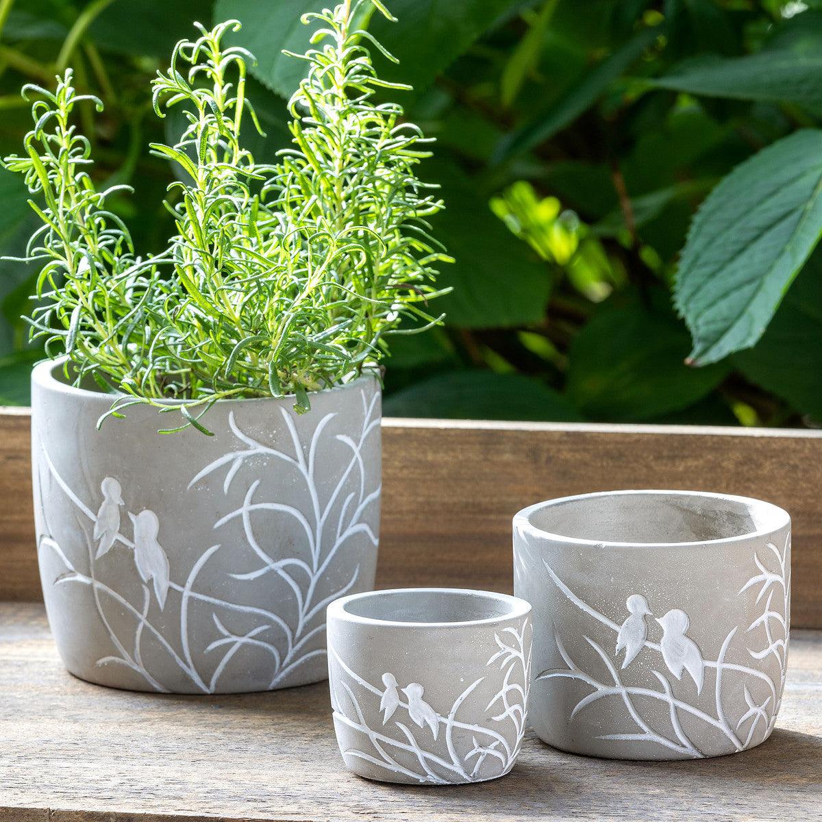 Lovebirds Silouette Cement Pot, Large - Signastyle Boutique