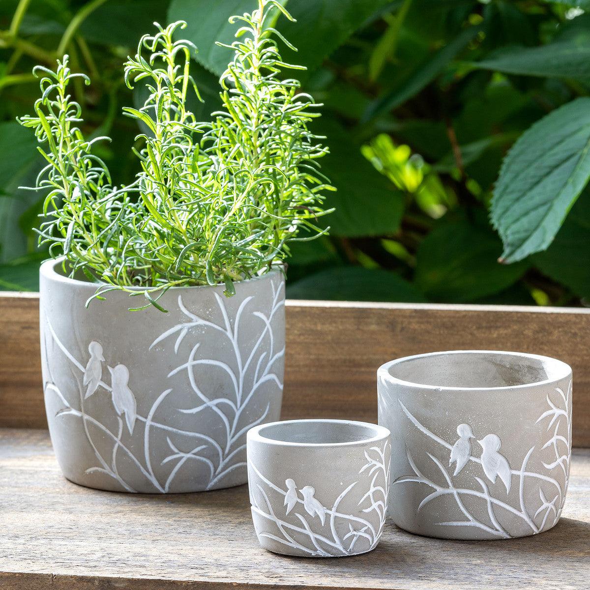 Lovebirds Silouette Cement Pot, Medium - Signastyle Boutique