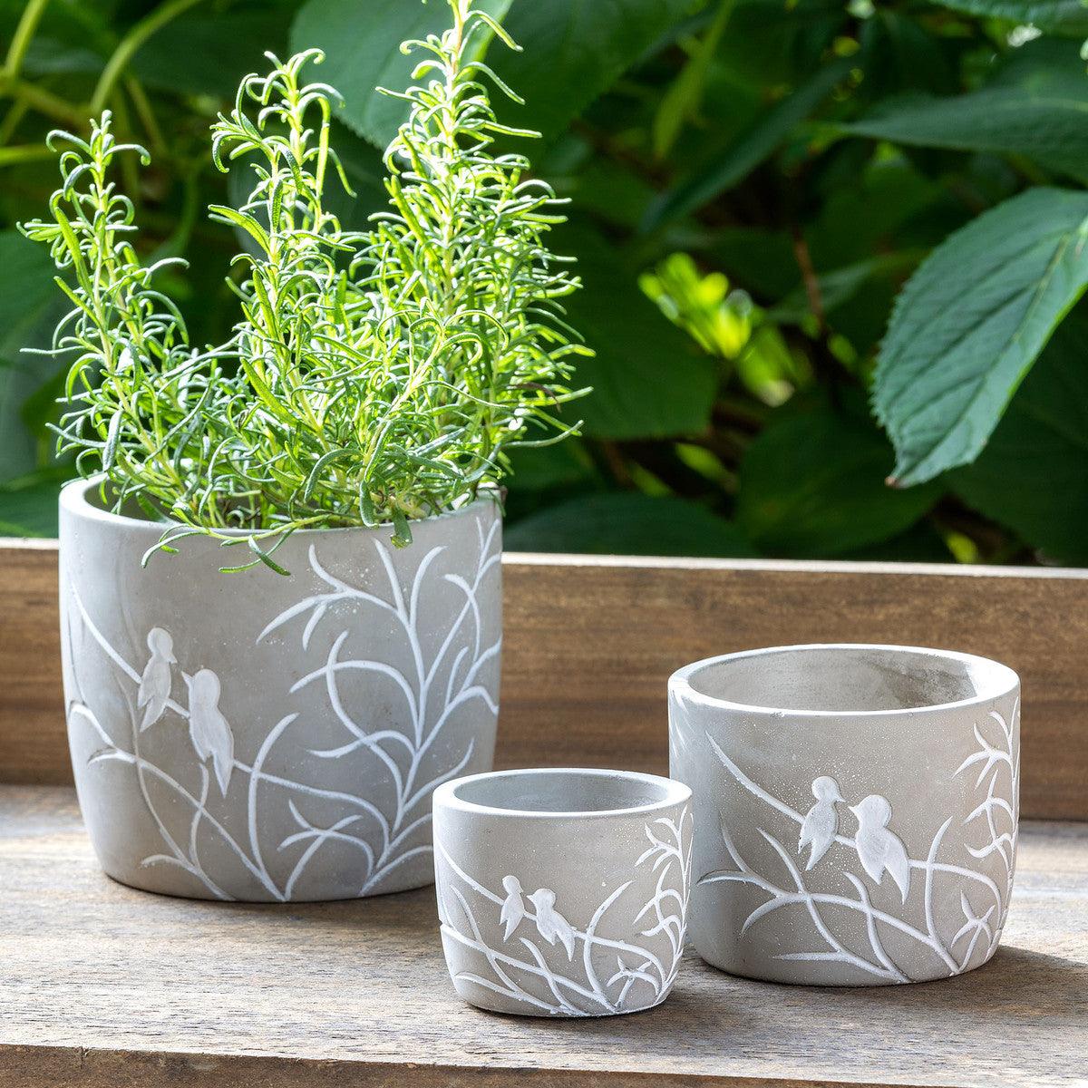 Lovebirds Silouette Cement Pot, Small - Signastyle Boutique