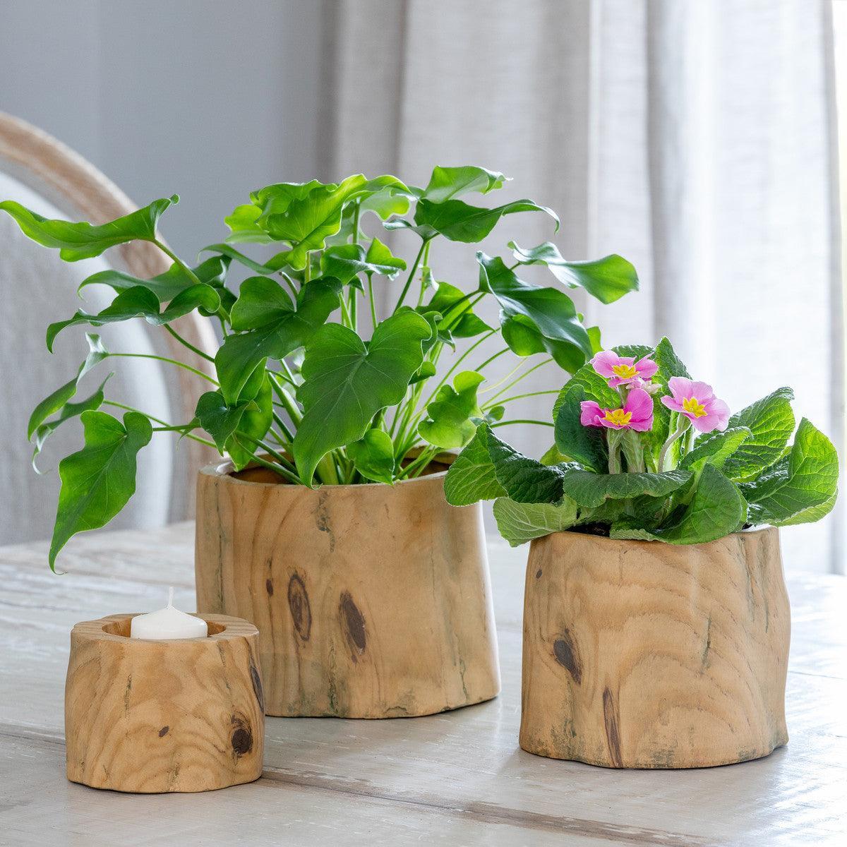 Faux Bois Garden Forest Pot, 5" - Signastyle Boutique