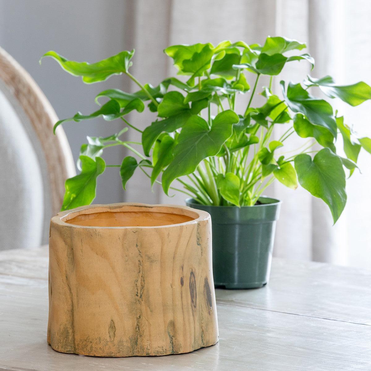 Faux Bois Garden Forest Pot, 6" - Signastyle Boutique