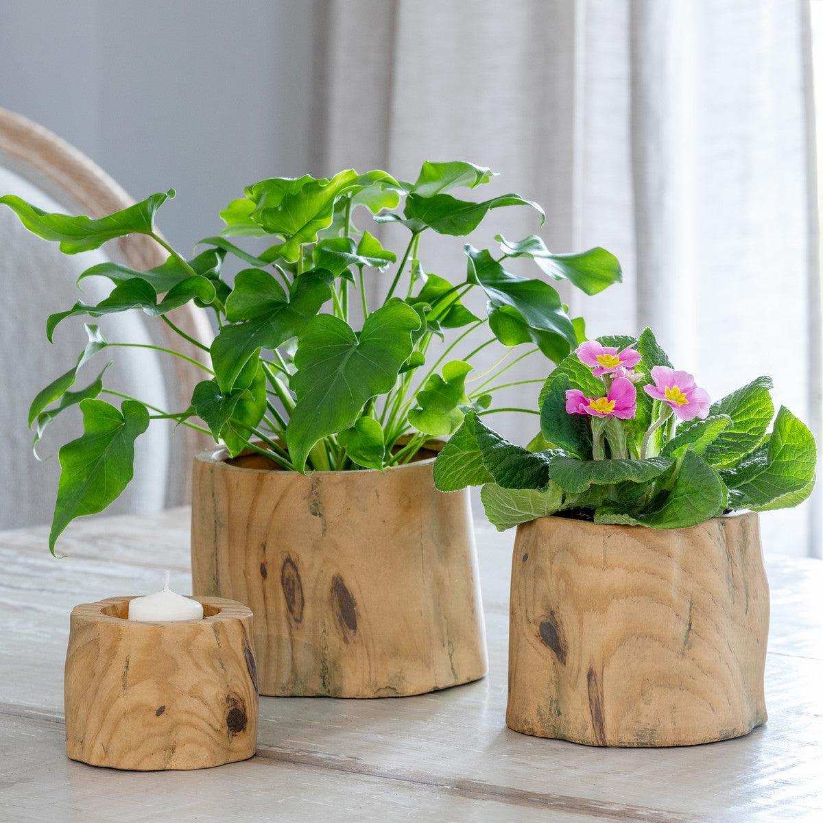 Faux Bois Garden Forest Pot, 6" - Signastyle Boutique