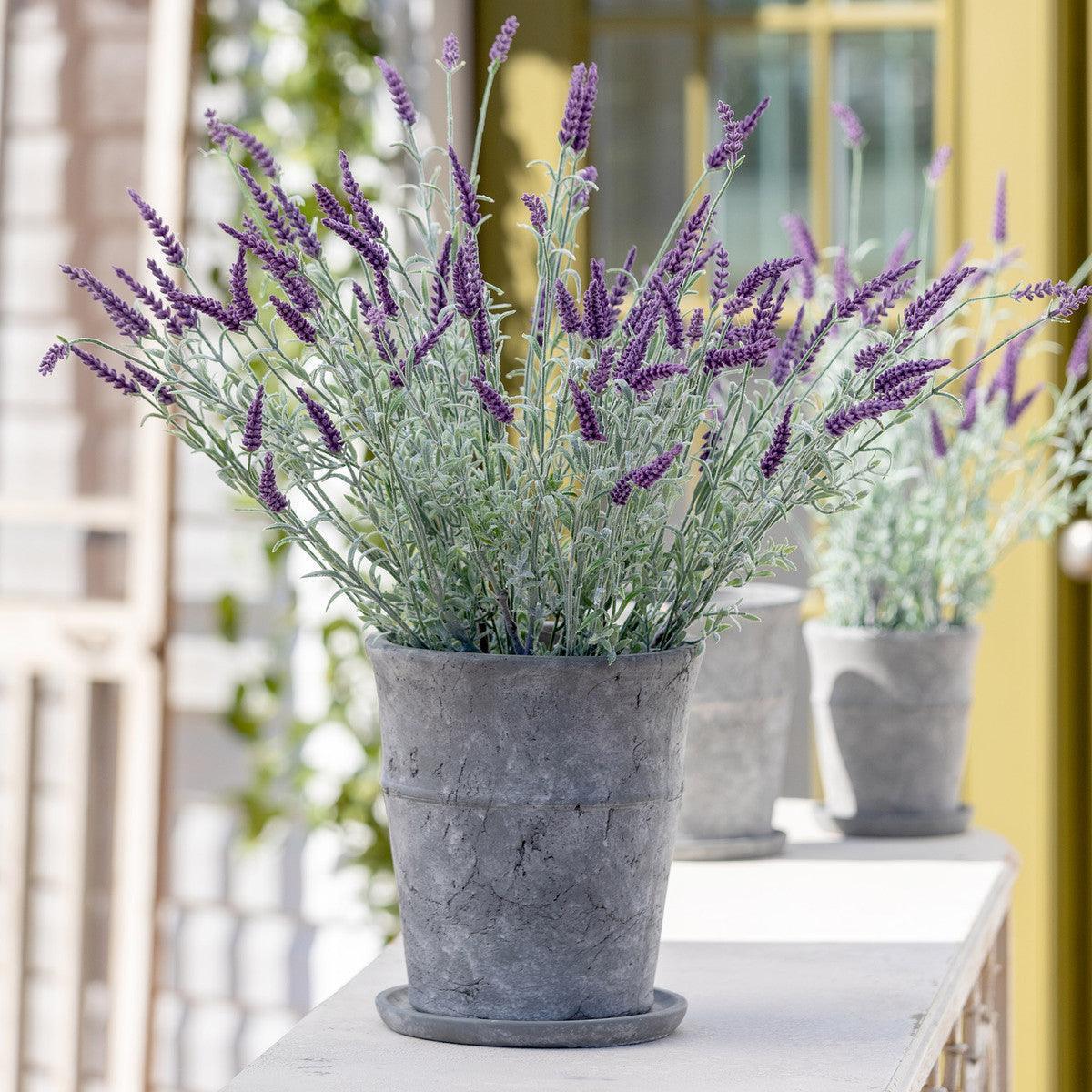 Meyer Cement Garden Pot w/ Tray, 8.5" - Signastyle Boutique