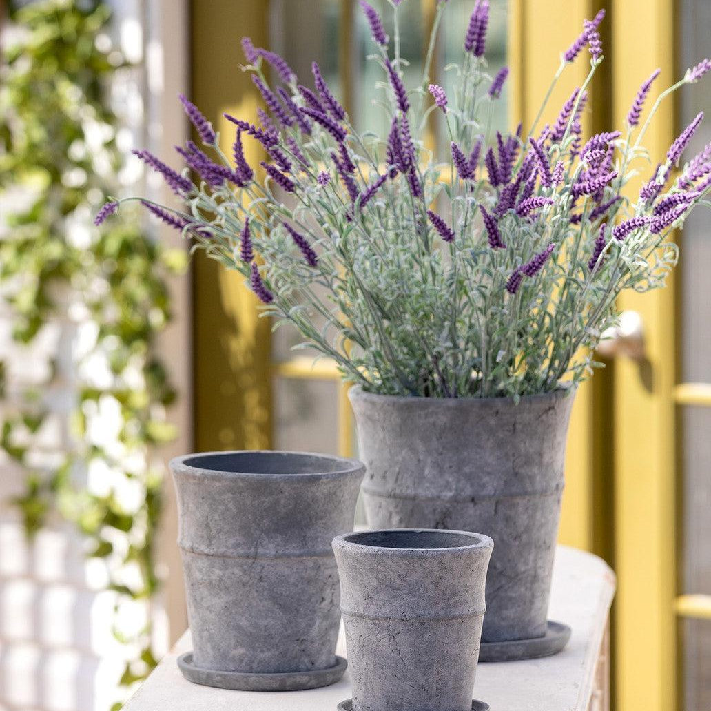 Meyer Cement Garden Pot w/ Tray, 8.5" - Signastyle Boutique