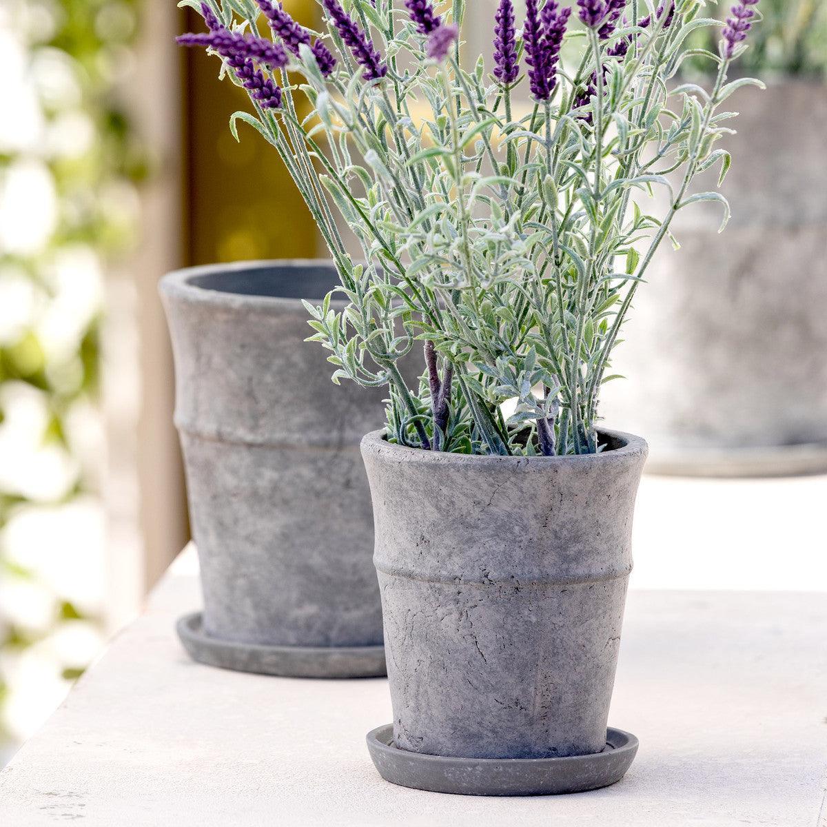 Meyer Cement Garden Pot w/ Tray, 5.5" - Signastyle Boutique