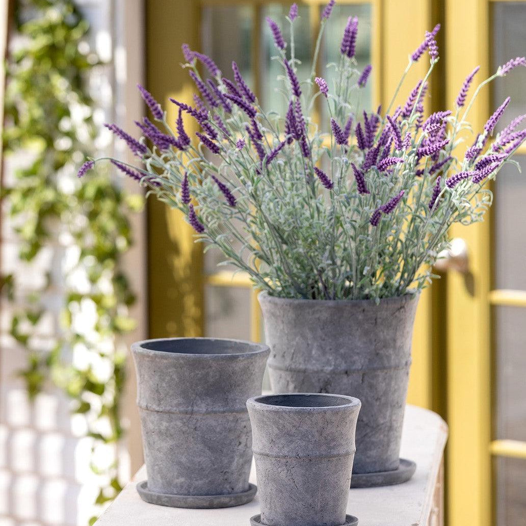 Meyer Cement Garden Pot w/ Tray, 5.5" - Signastyle Boutique