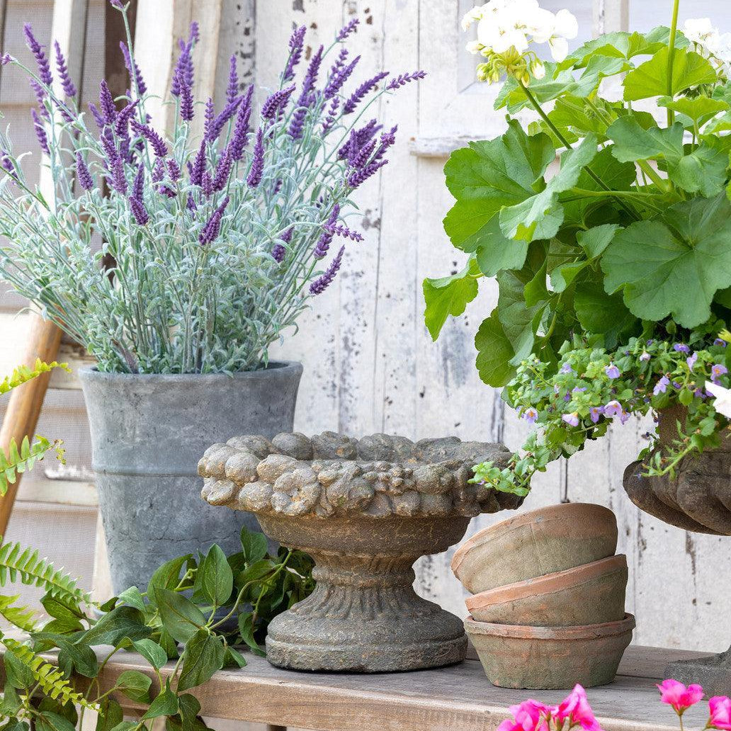 Dellarobia Garden Bowl - Signastyle Boutique