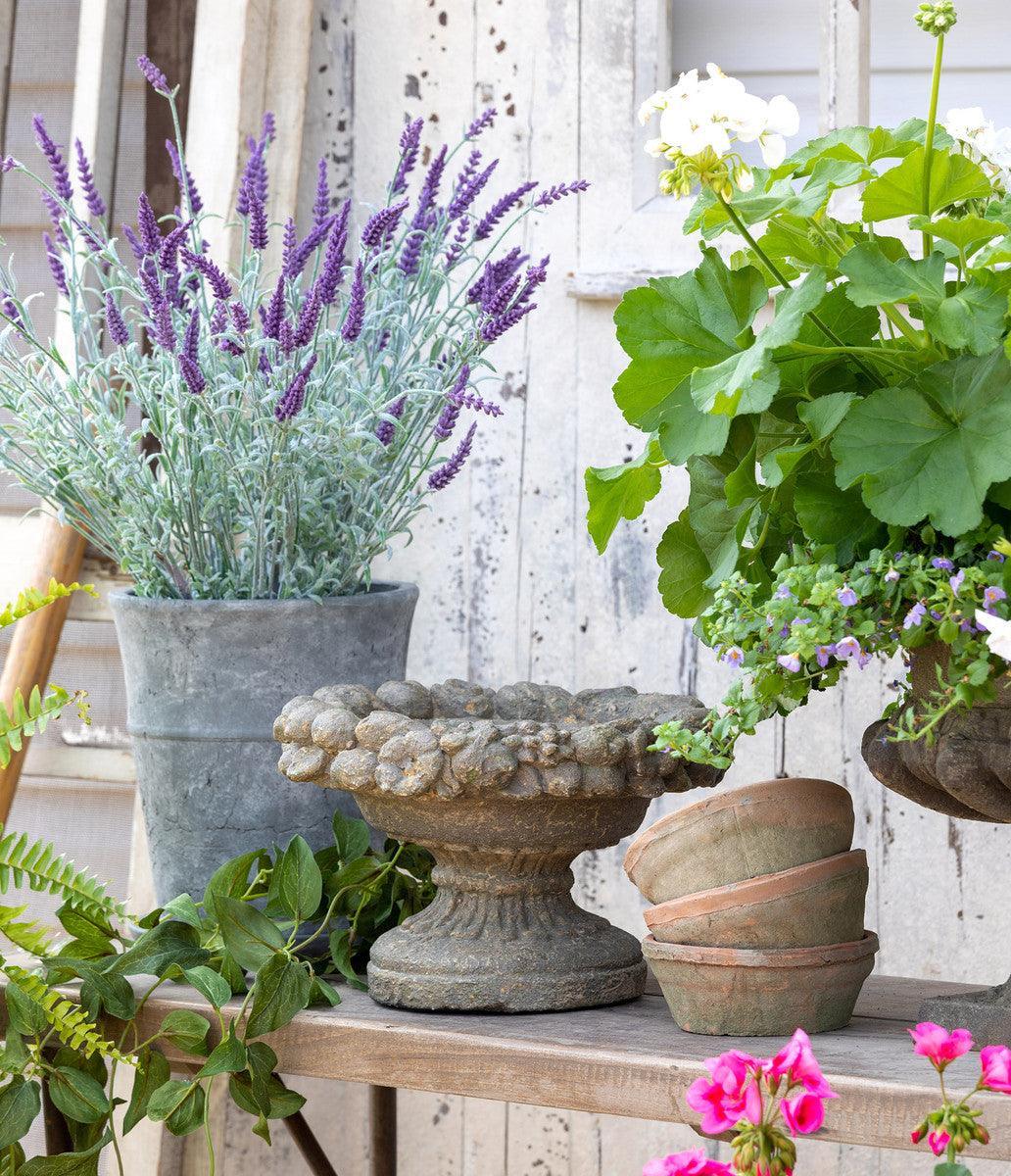 Dellarobia Garden Bowl - Signastyle Boutique