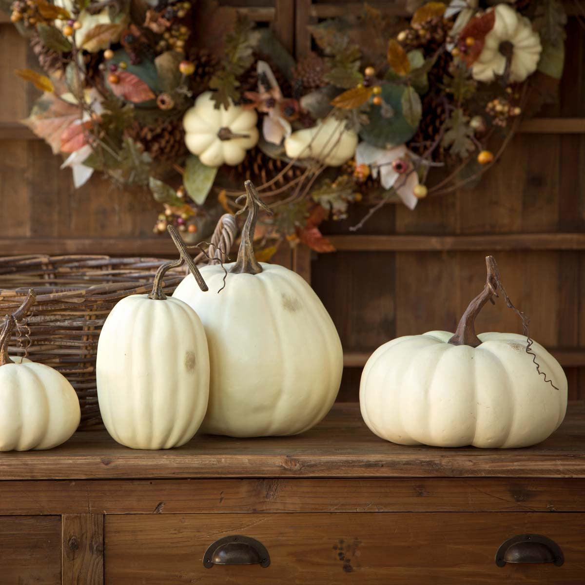 Full Moon Pumpkin Collection, Set of 5 - Signastyle Boutique
