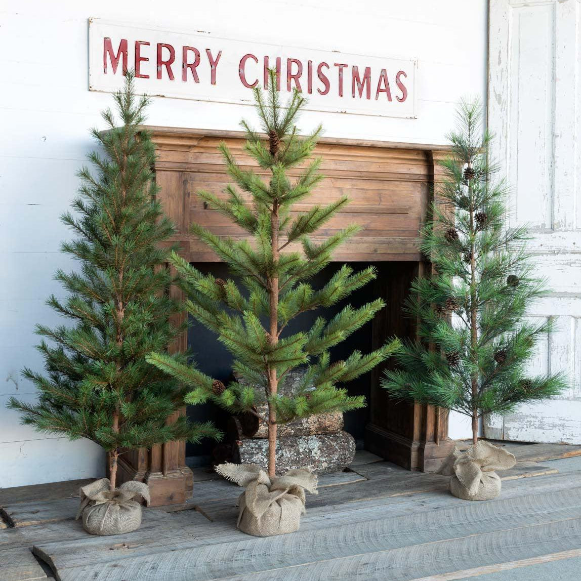 Third-Year Faux Seedling Trees, Set of 3, Assorted Styles - Signastyle Boutique