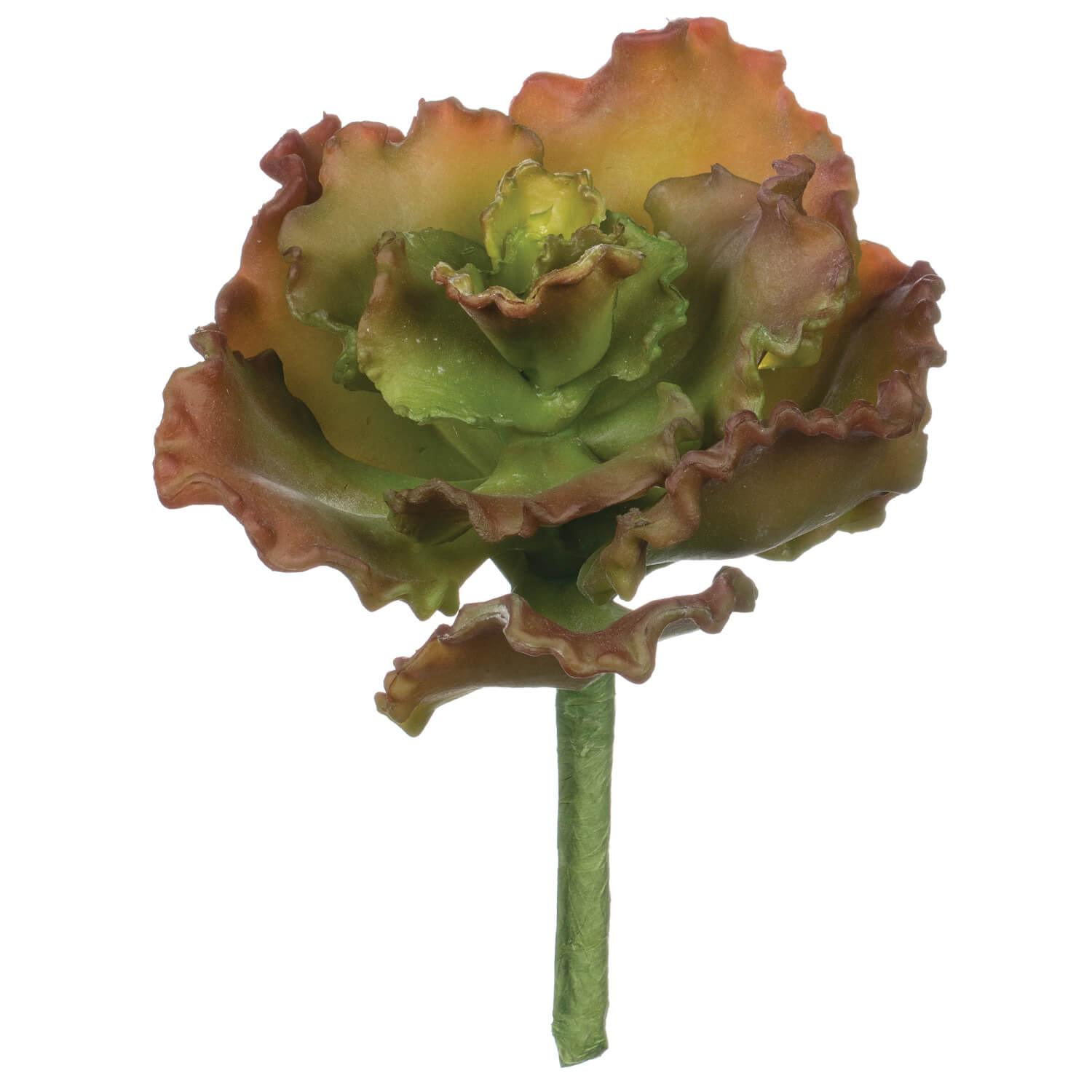 Curly Echeveria Pick - Signastyle Boutique