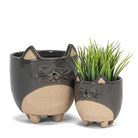 Small Cat Planter - 3" H - Signastyle Boutique