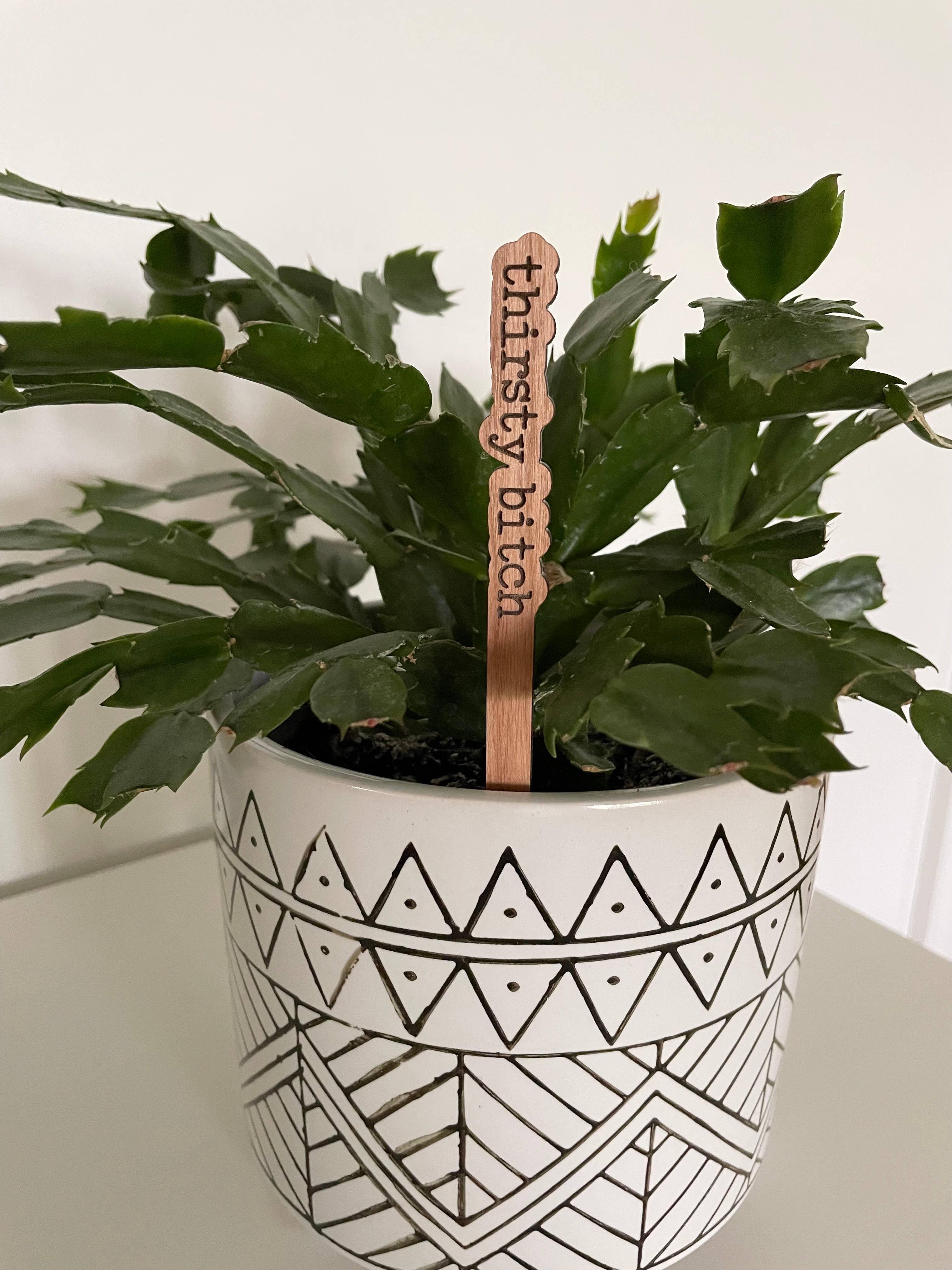 Funny Plant Stakes/Plant Markers - Signastyle Boutique
