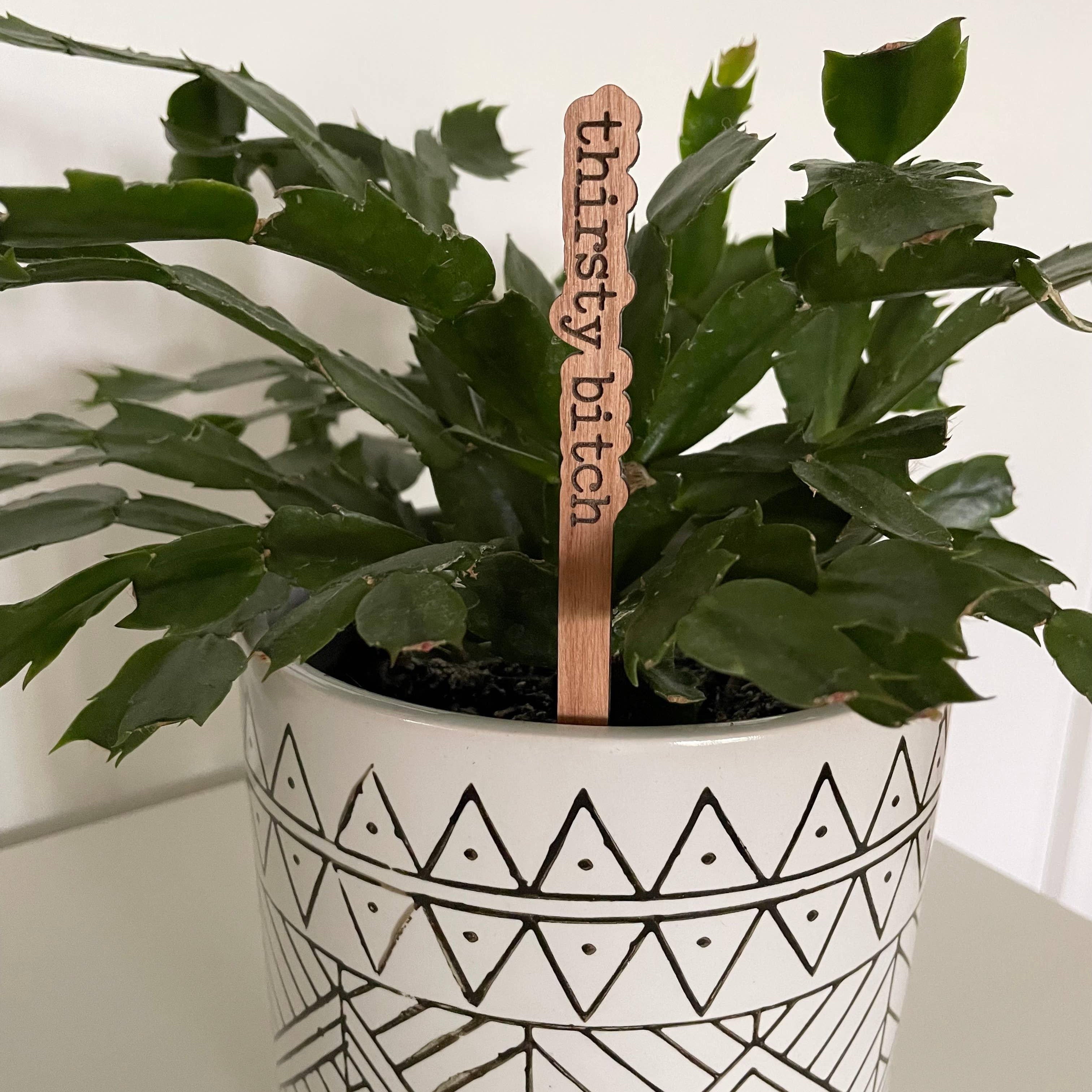 Funny Plant Stakes/Plant Markers - Signastyle Boutique