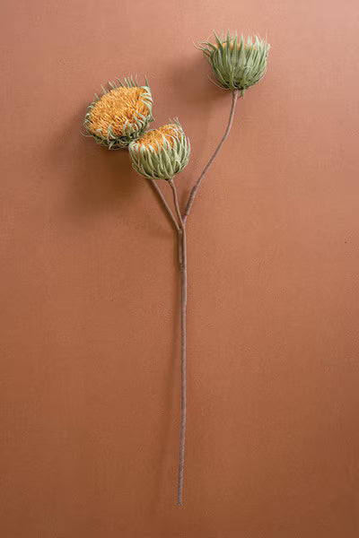 Botanica #3700 (Case Pack)