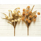 Autumn Bur-Reed Picks - 18" - Signastyle Boutique