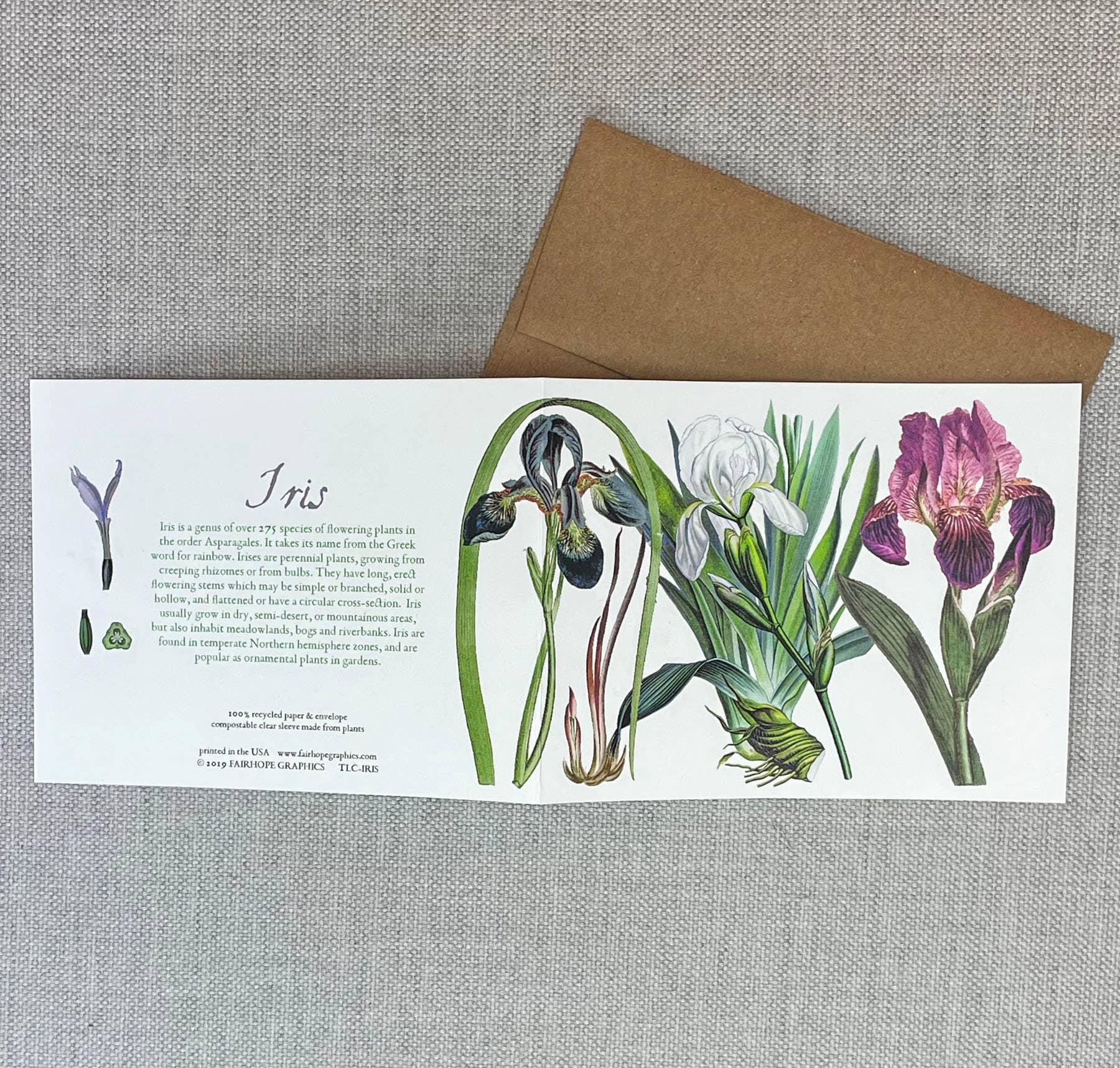 Iris Card - Signastyle Boutique