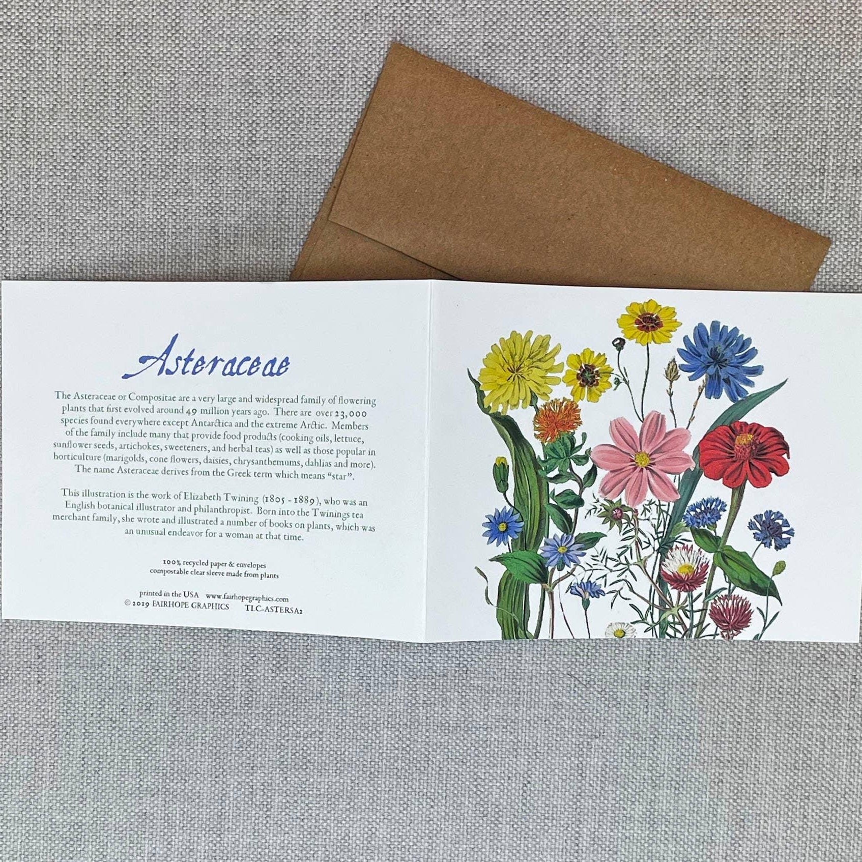 Asters Card - Signastyle Boutique