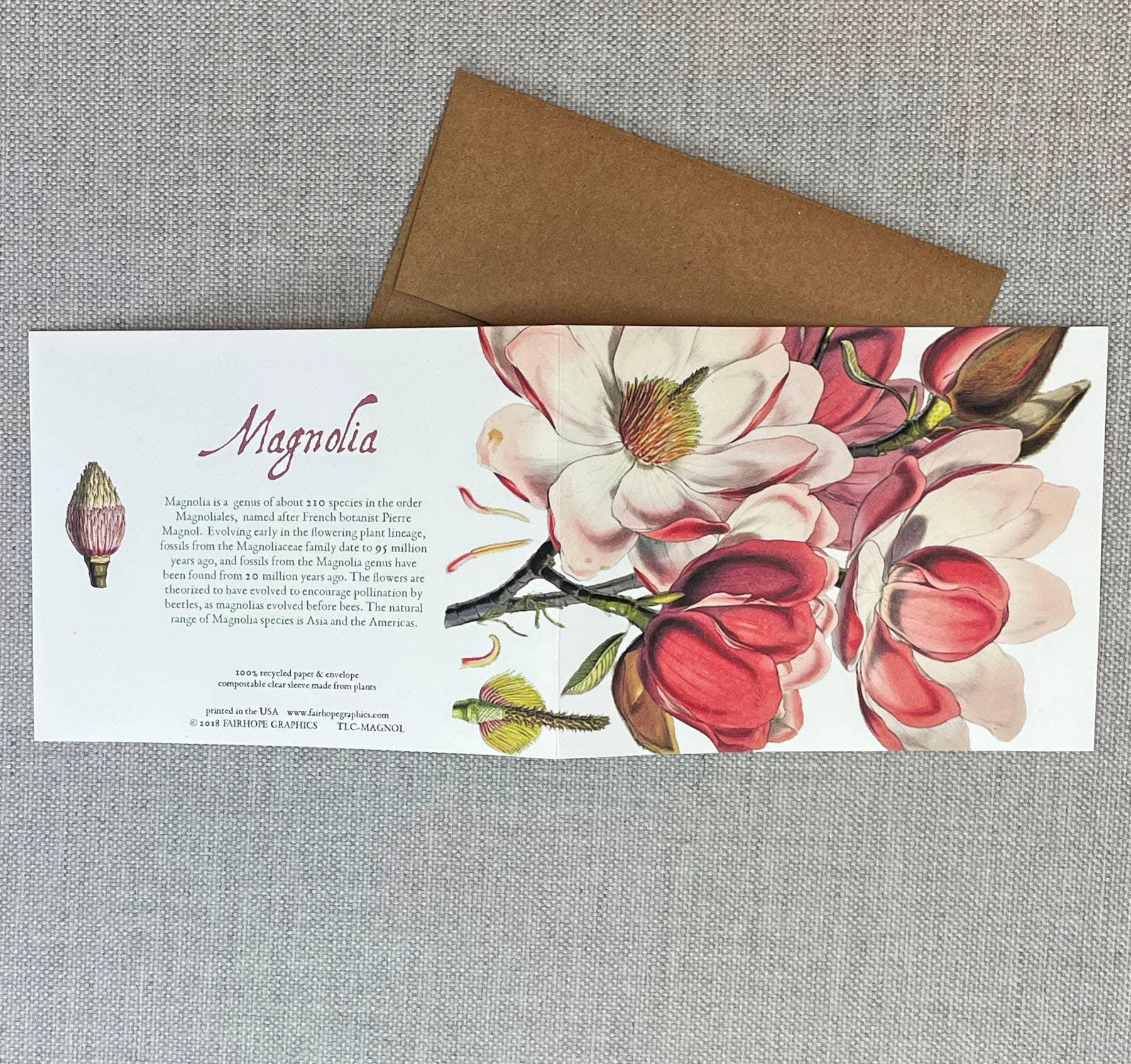 Magnolia Card - Signastyle Boutique