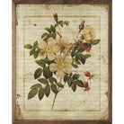 Botanical Prints - Assorted Styles - Signastyle Boutique