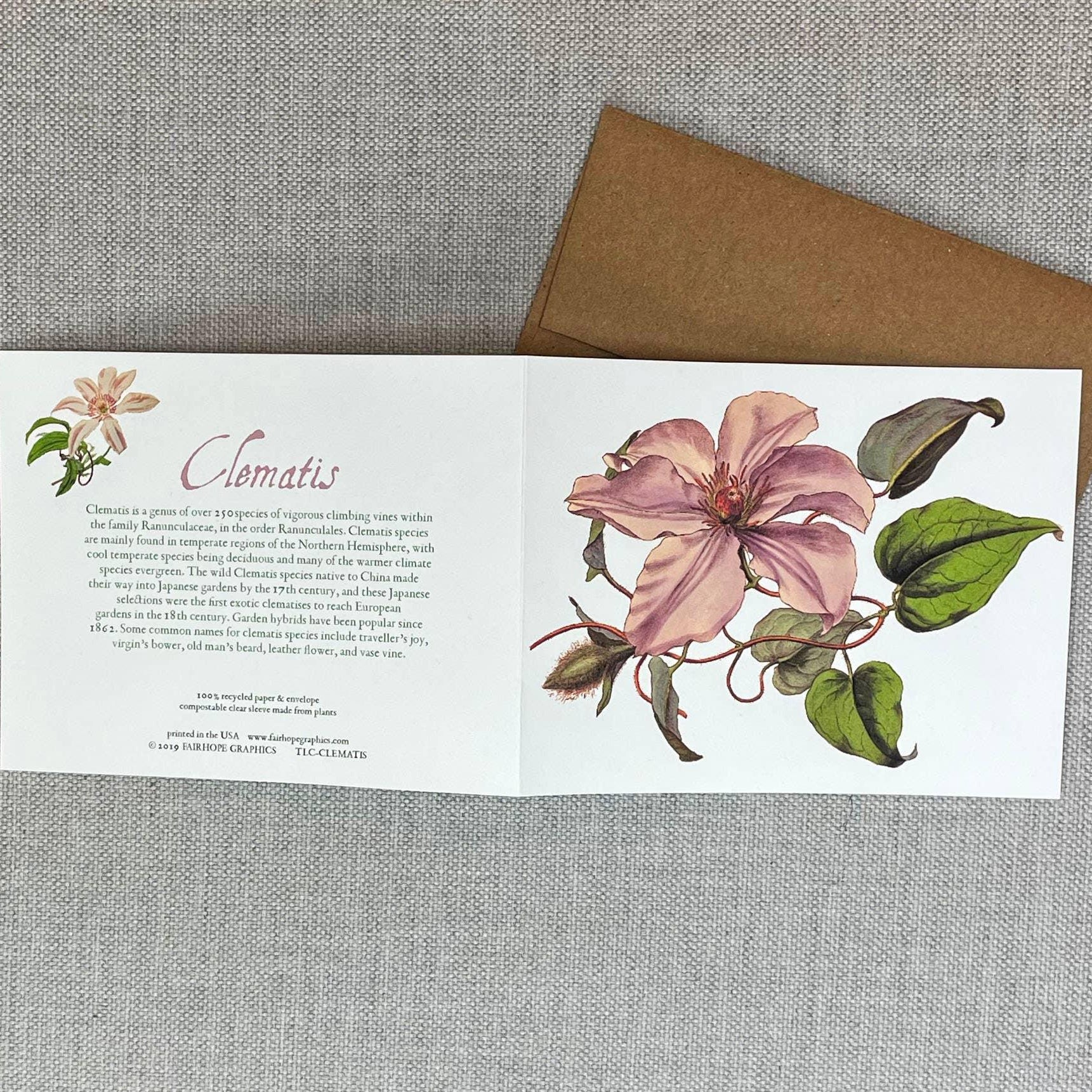 Clematis Card - Signastyle Boutique
