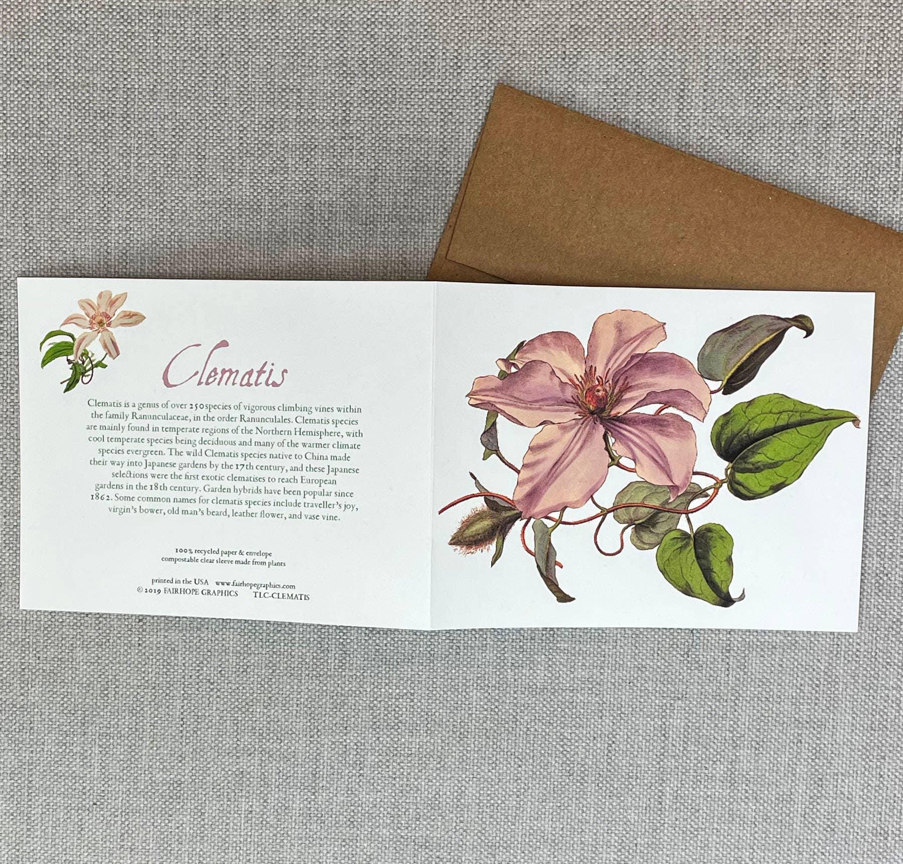 Clematis Card - Signastyle Boutique
