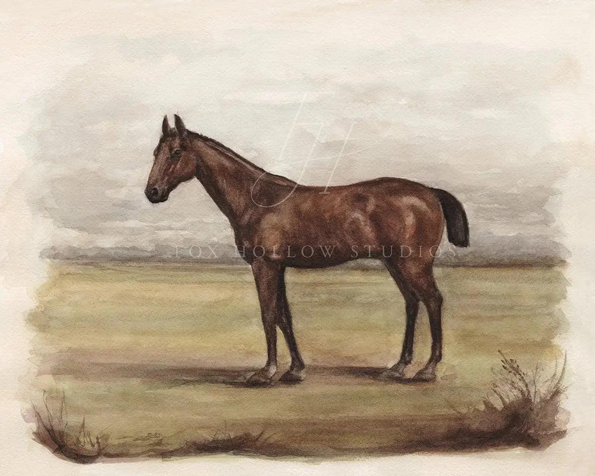 Vintage English Horses Art Prints - Signastyle Boutique