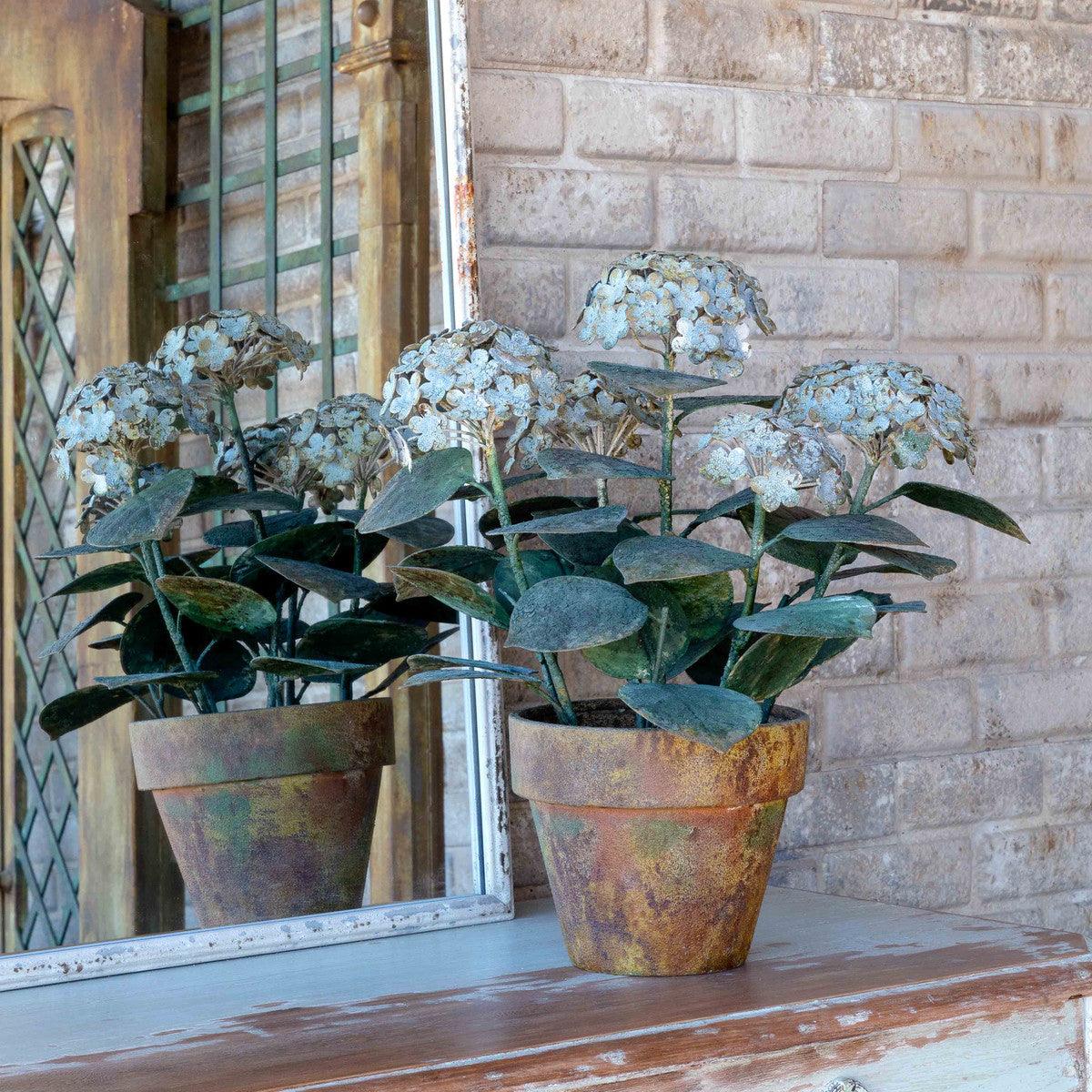 Aged Metal Potted Hydrangea - Signastyle Boutique