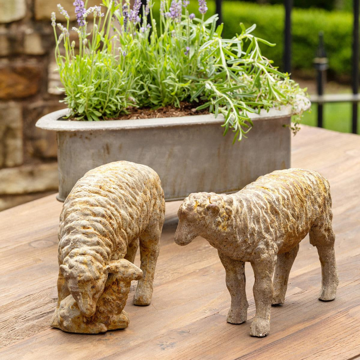 Country Sheep Family, Set of 2 - Signastyle Boutique
