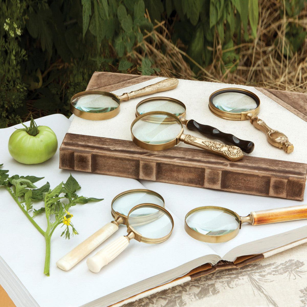 Magnifying Glass Collection, Set of 7, Assorted Styles-Home Accessories-Rustic Barn Boutique